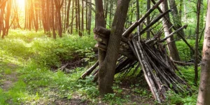 Understanding Wildlife Behavior for Safety