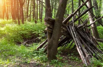 Understanding Wildlife Behavior for Safety