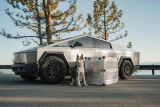 How Do You Pick the Right Dog Crate for Travel?